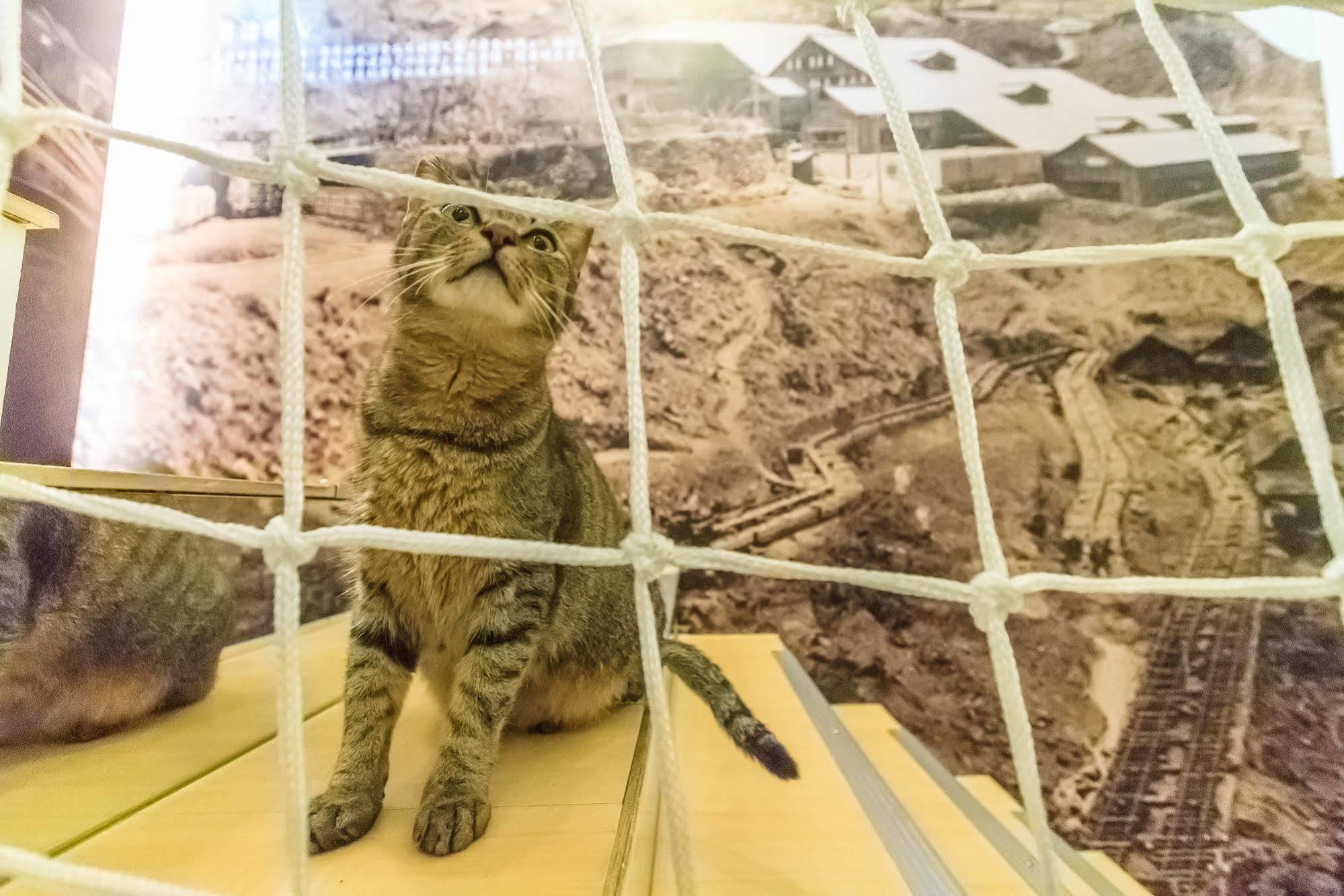 Goldmine Hotel Jiufen Dış mekan fotoğraf